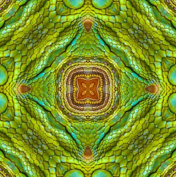 kaleidoscope